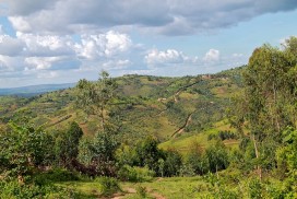 Kibira National Park | | Alluring World