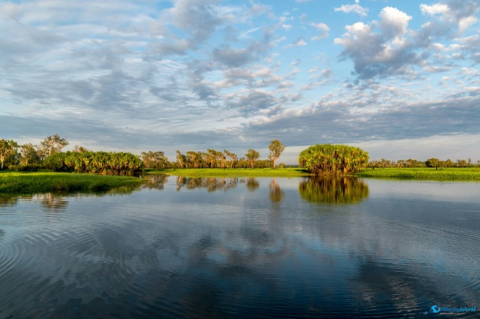 10 Kakadu