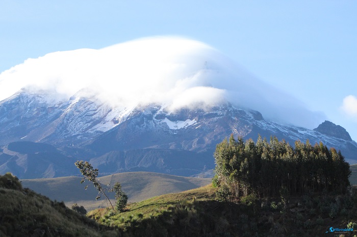 13 Chimborazo