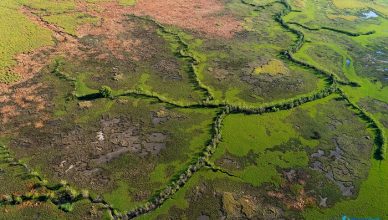 2 Kakadu