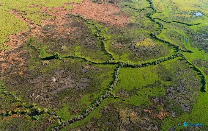 2 Kakadu