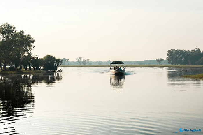 5 Kakadu