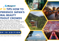 Tips Japan Travel - Top 10 Edition