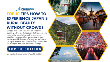 Tips Japan Travel - Top 10 Edition